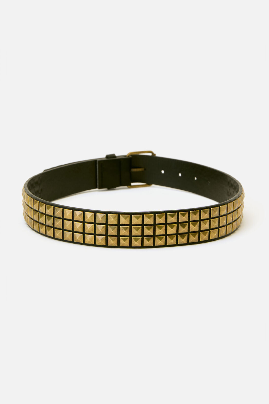 Dangerfield NZ - Brass Pyramid Stud Belt - black