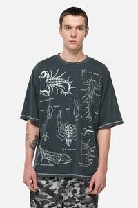 Dangerfield NZ - Scorpius Goth Unisex Tee - grey