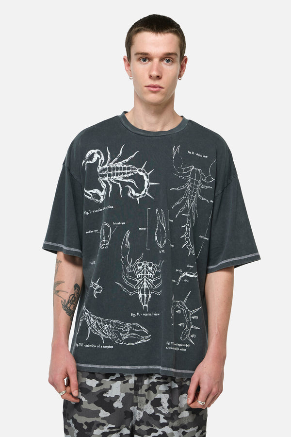 Dangerfield NZ - Scorpius Goth Unisex Tee - grey