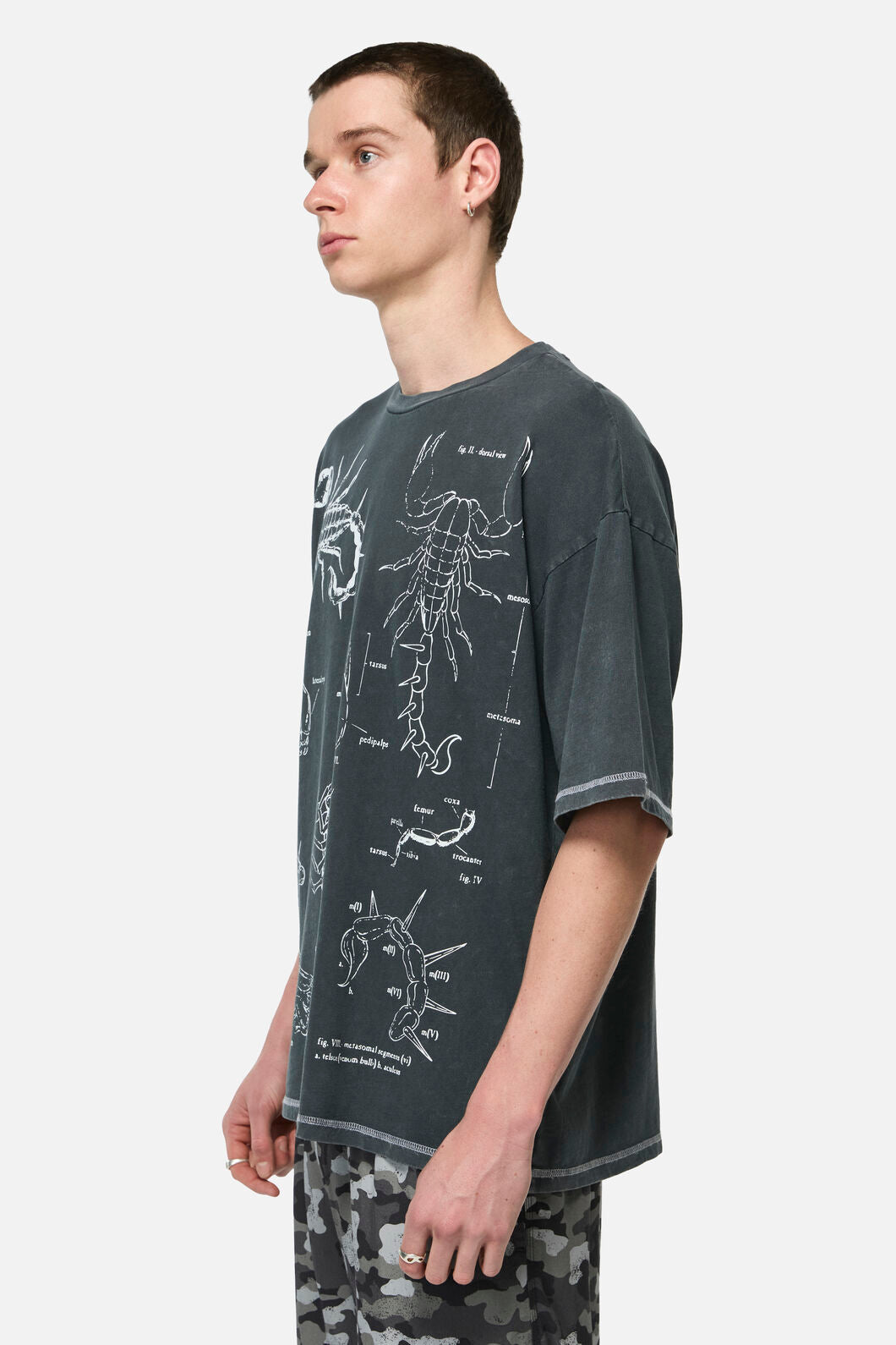 Dangerfield NZ - Scorpius Goth Unisex Tee - grey