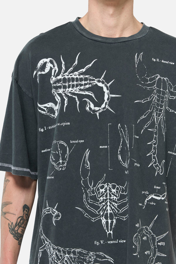 Dangerfield NZ - Scorpius Goth Unisex Tee - grey