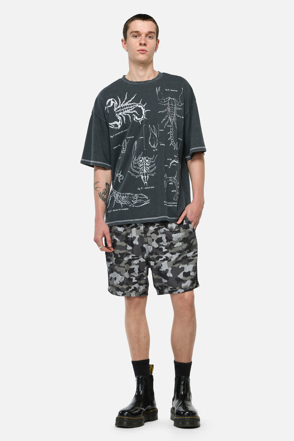 Dangerfield NZ - Scorpius Goth Unisex Tee - grey