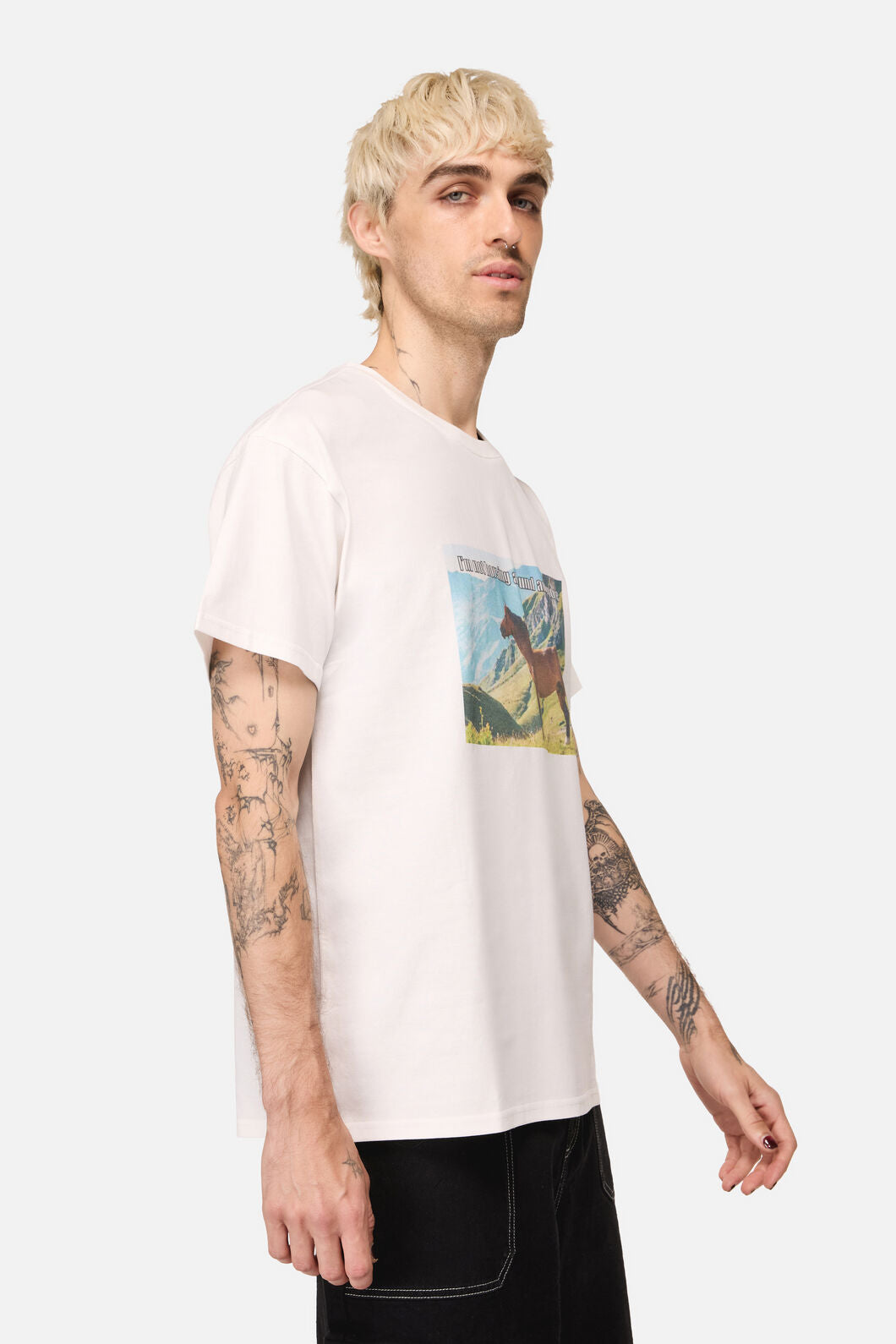 Dangerfield NZ - Not Horsing Around Tee - white