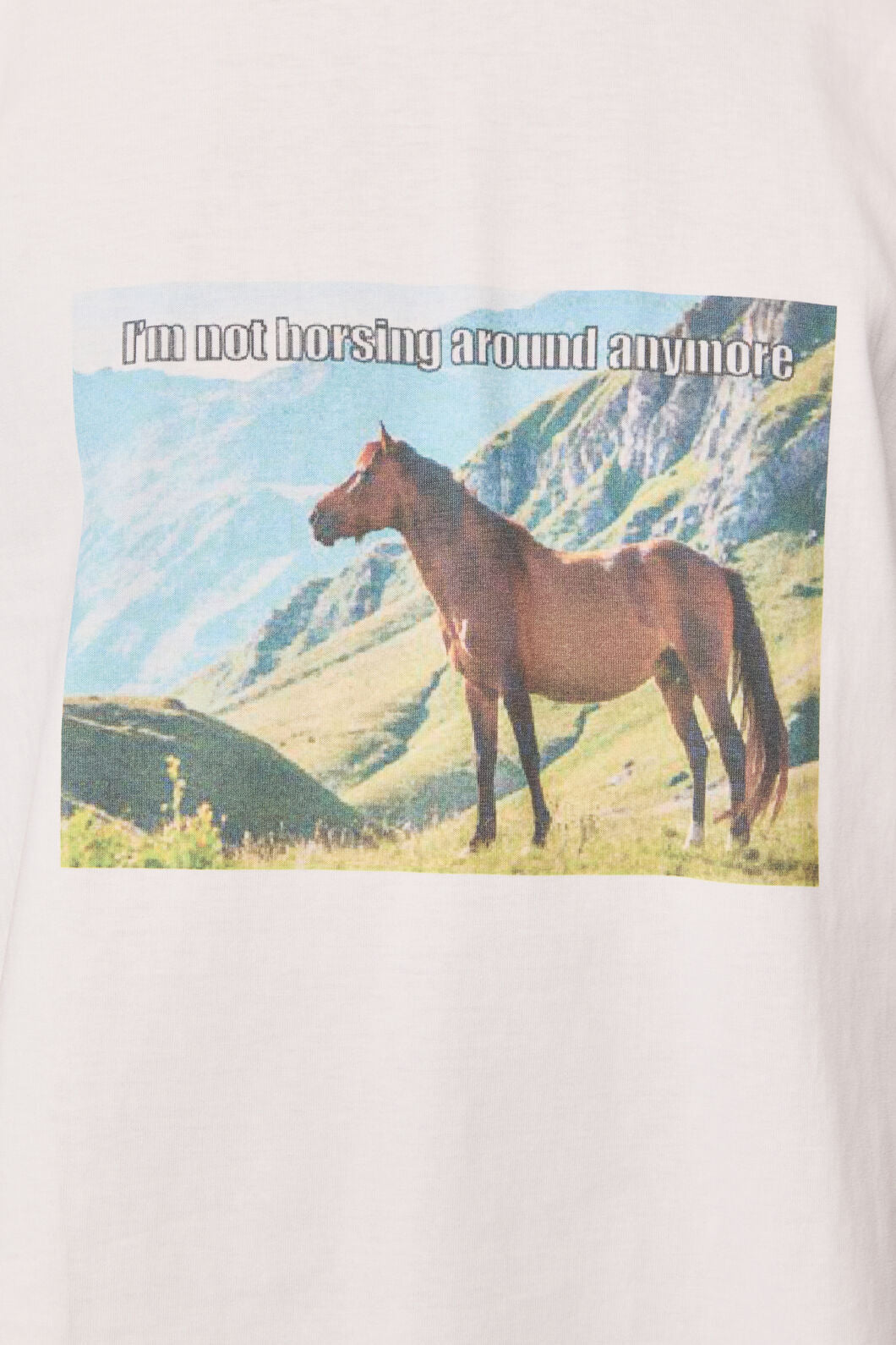 Dangerfield NZ - Not Horsing Around Tee - white