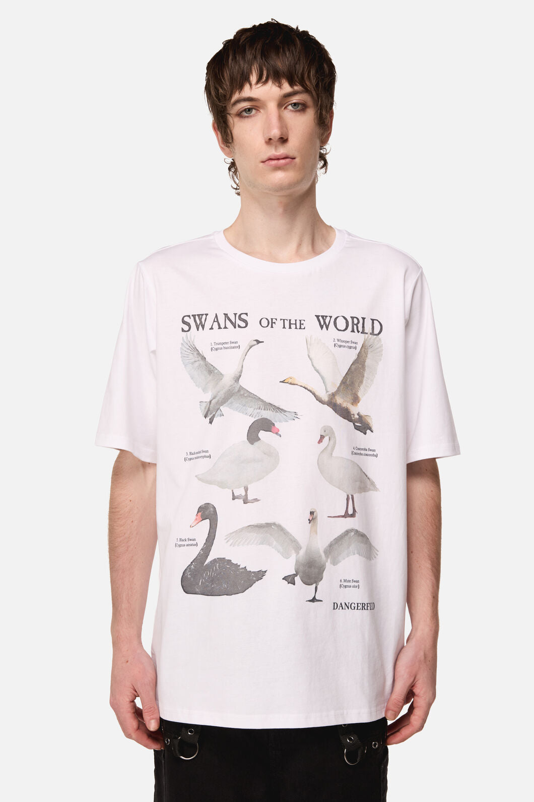 Dangerfield NZ - Swan Species Tee - white