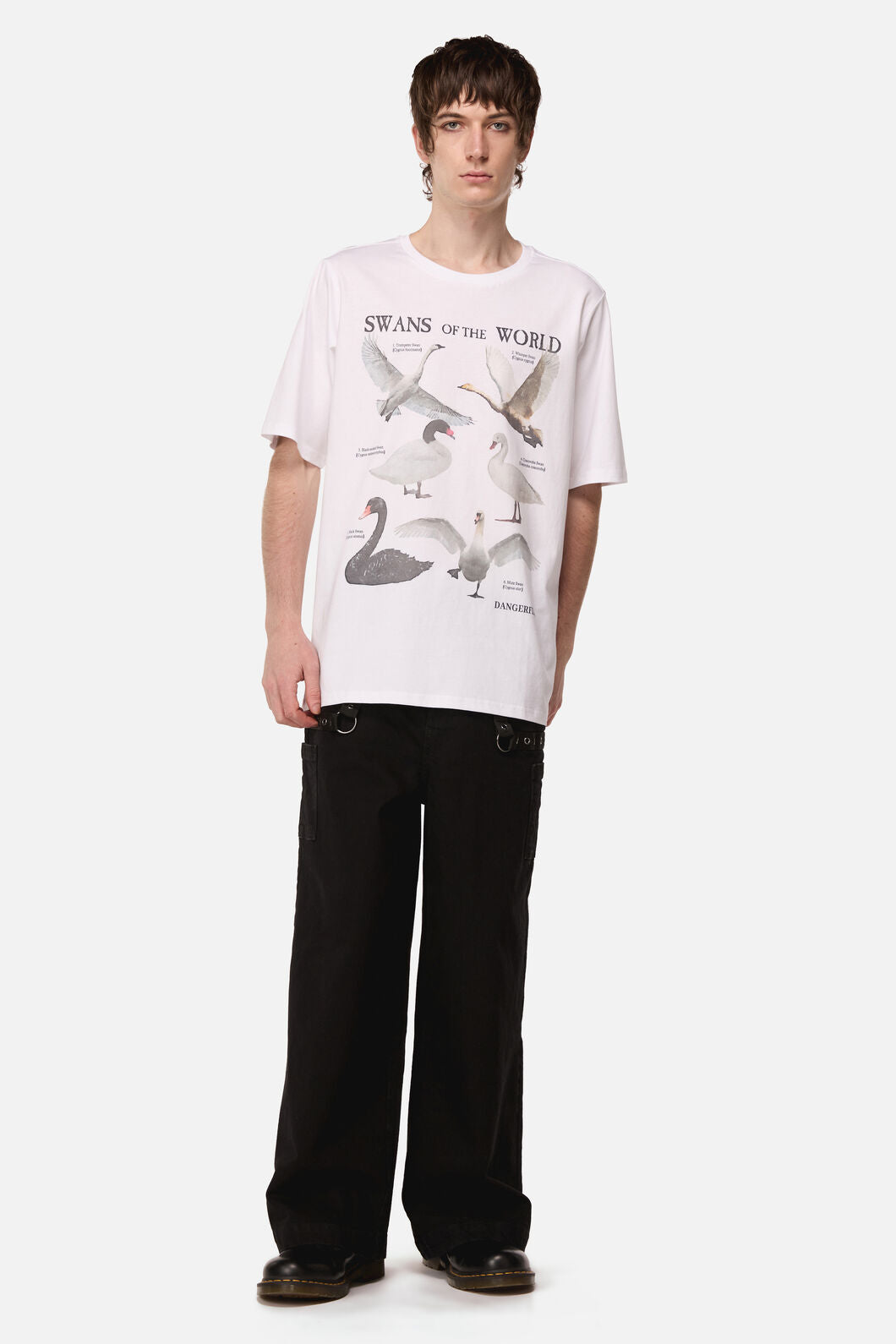 Dangerfield NZ - Swan Species Tee - white