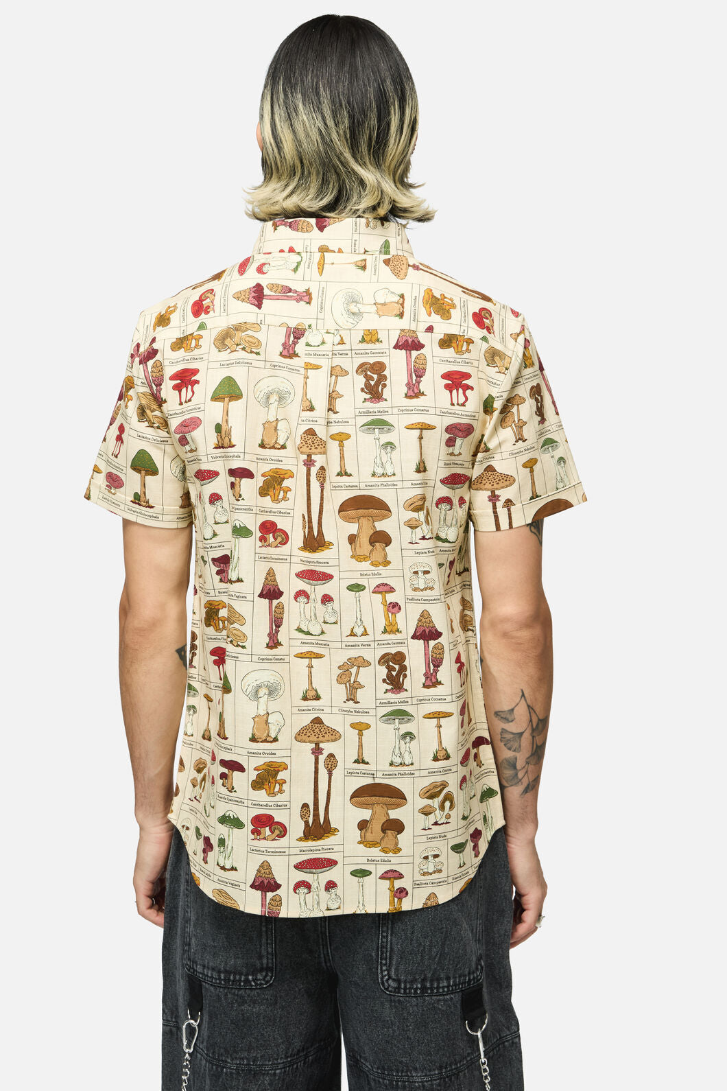 Dangerfield NZ - Fungus SS Shirt - cream