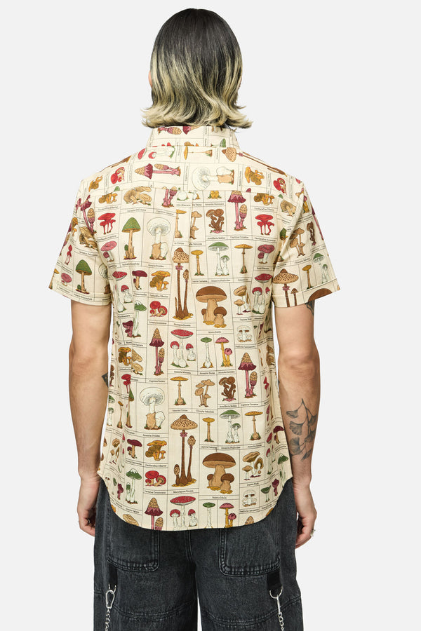 Dangerfield NZ - Fungus SS Shirt - cream