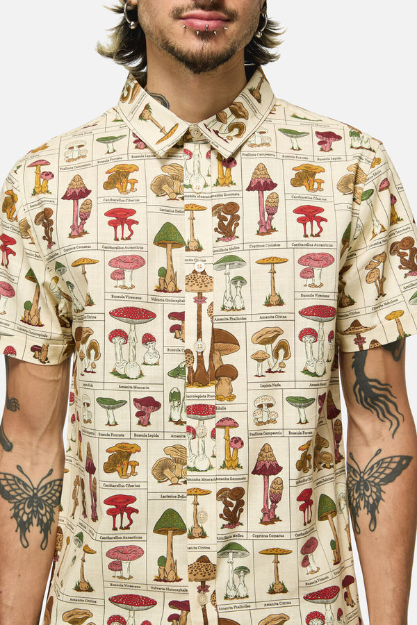 Dangerfield NZ - Fungus SS Shirt - cream