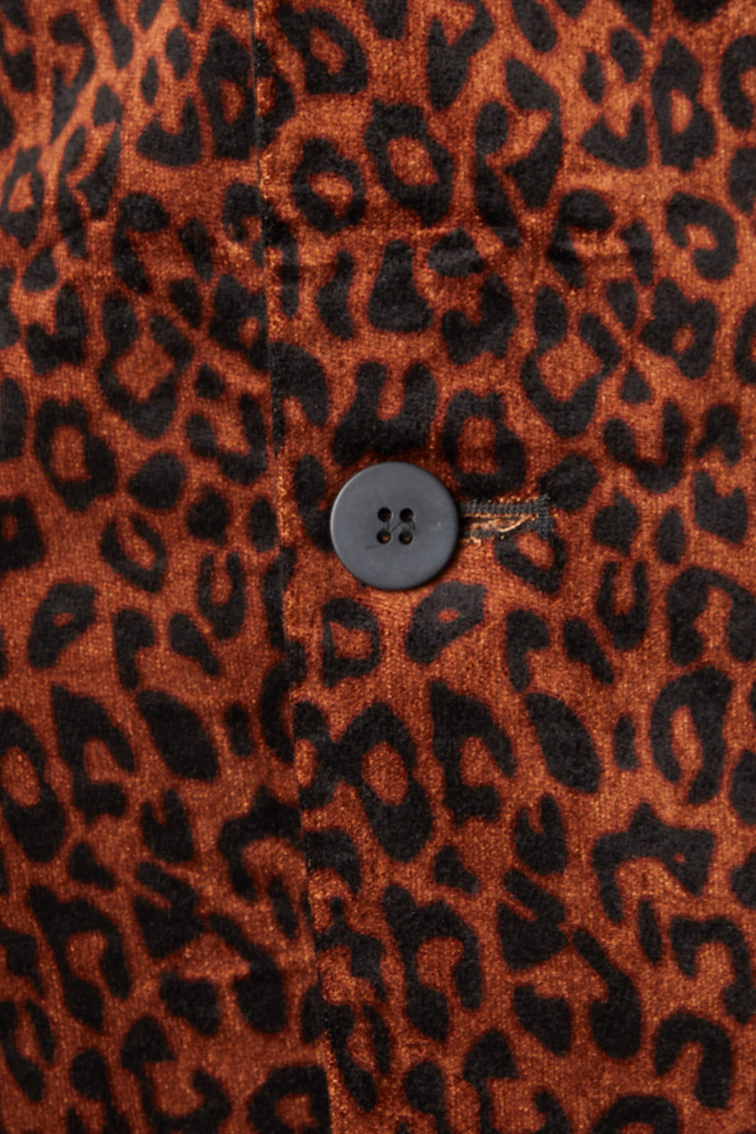 Dangerfield NZ - Ziggy Velvet Jacket - multi