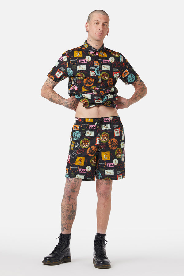 multi