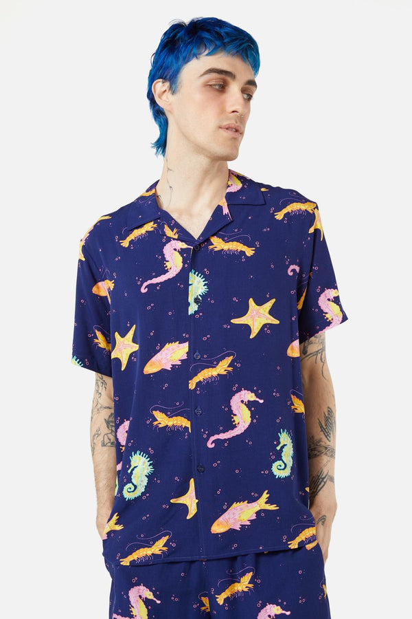 navy