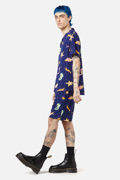 navy