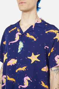 navy