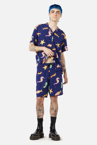 navy