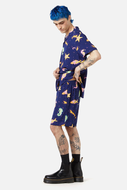 navy
