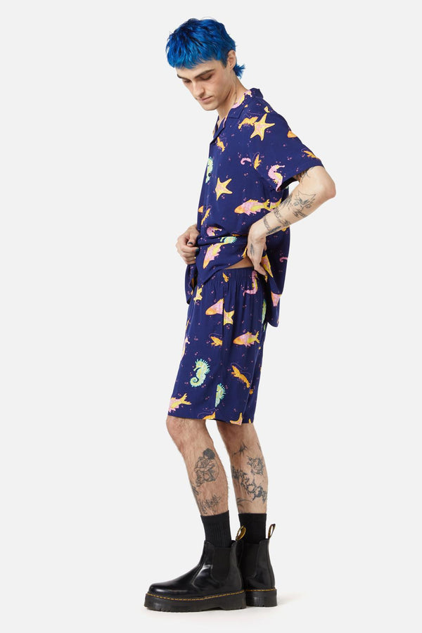 navy