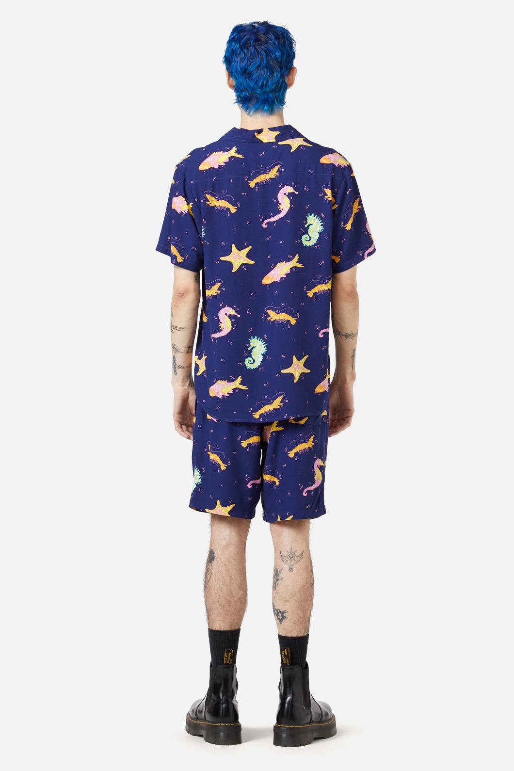 navy