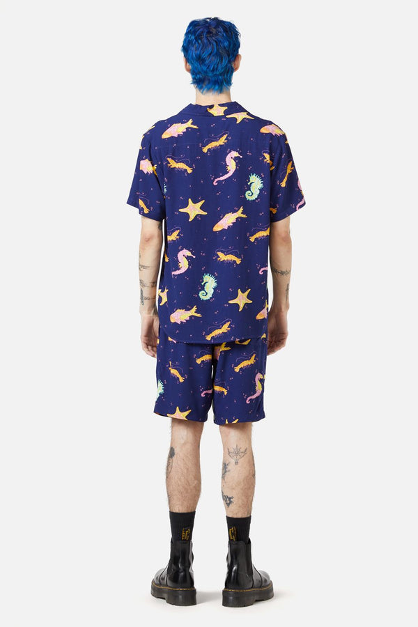 navy