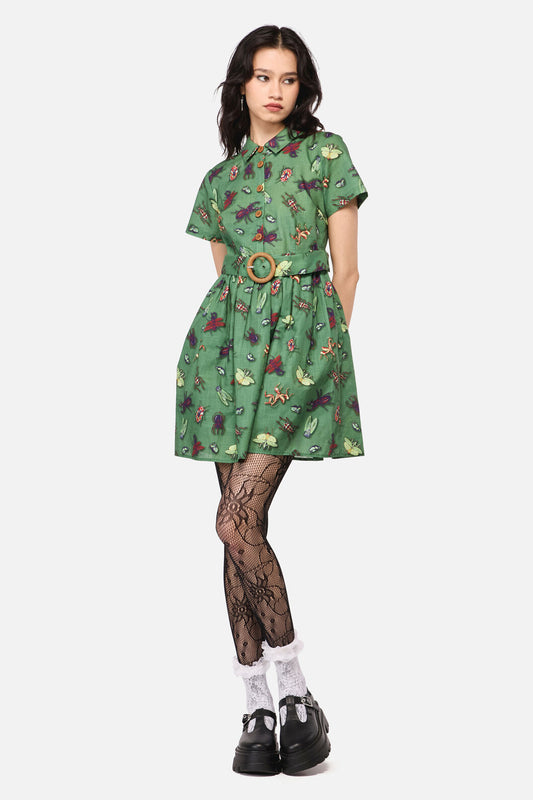 Dangerfield NZ - Entomology Print Dress - green