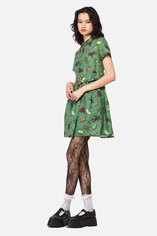 Dangerfield NZ - Entomology Print Dress - green