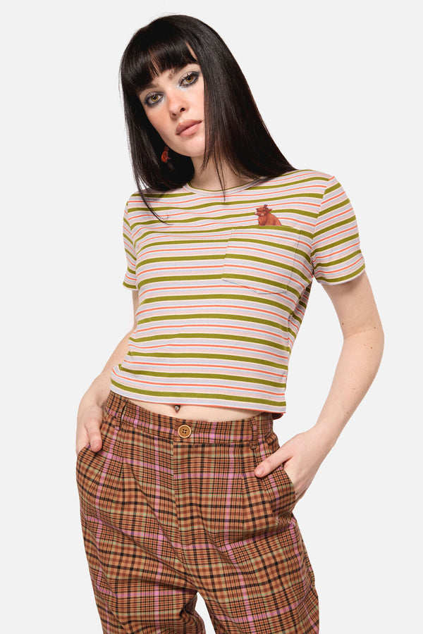Dangerfield NZ - Grazing Stripe Pocket Tee - rainbow