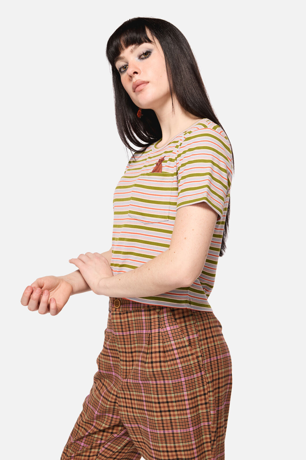 Dangerfield NZ - Grazing Stripe Pocket Tee - rainbow