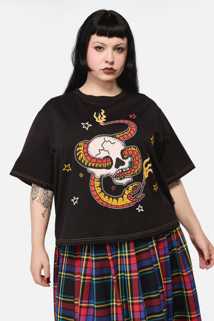Dangerfield NZ - Curve Snake ForBrainsGrungeTee - black