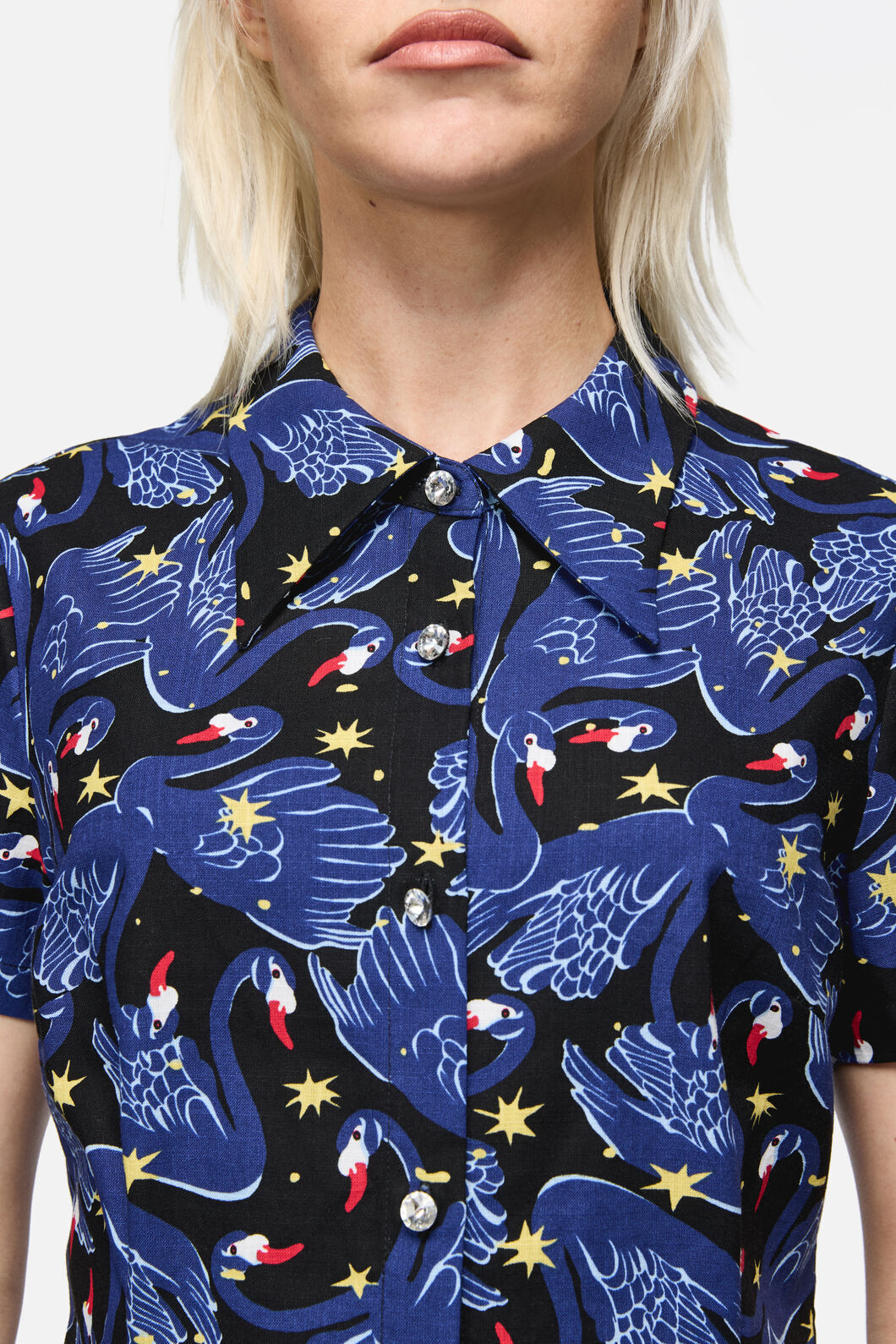 Dangerfield NZ - Swan Song Goth Blouse - black