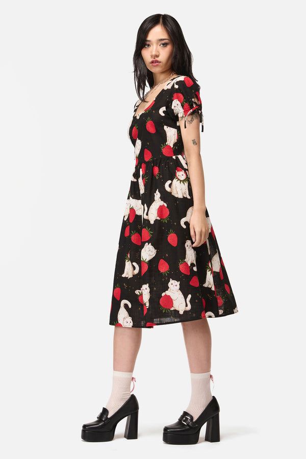Dangerfield NZ - Strawberry Cat Repeat Dress - black