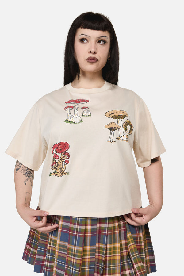 Dangerfield NZ - Curve Mushie Print Tee - cream
