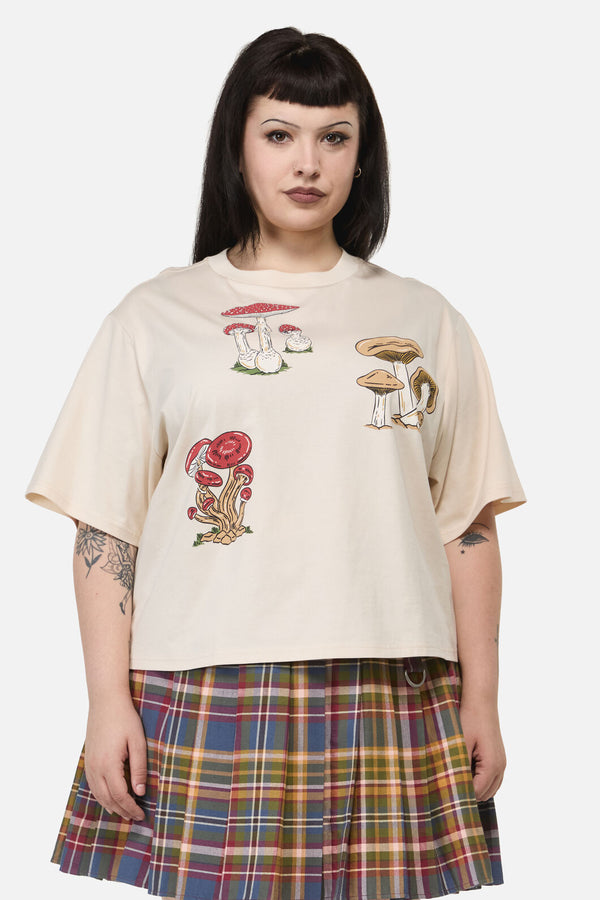 Dangerfield NZ - Curve Mushie Print Tee - cream