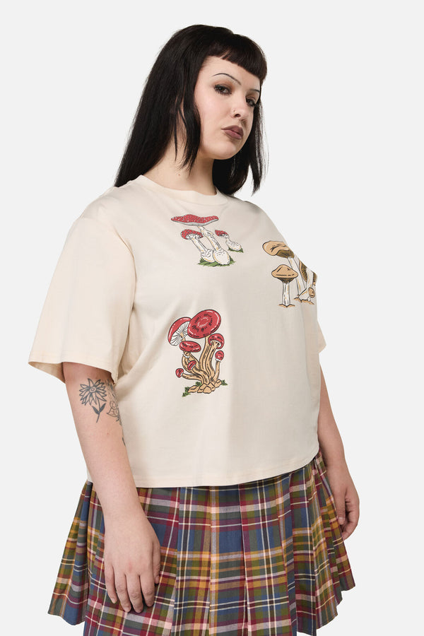 Dangerfield NZ - Curve Mushie Print Tee - cream