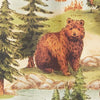 Beary Cute Scrub Set