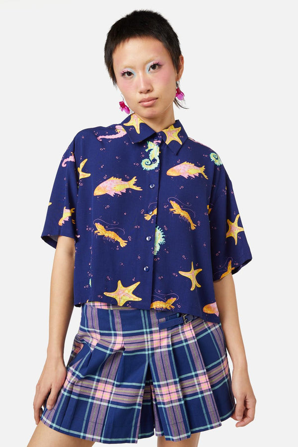 navy
