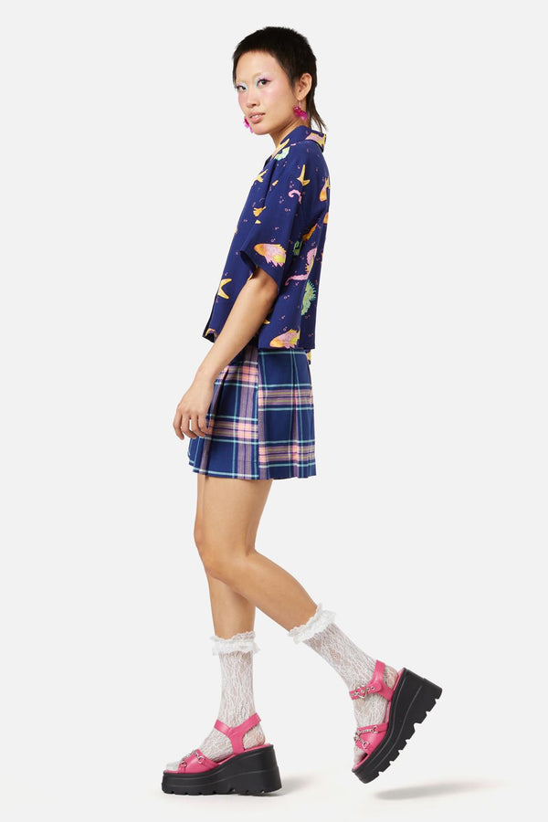 navy