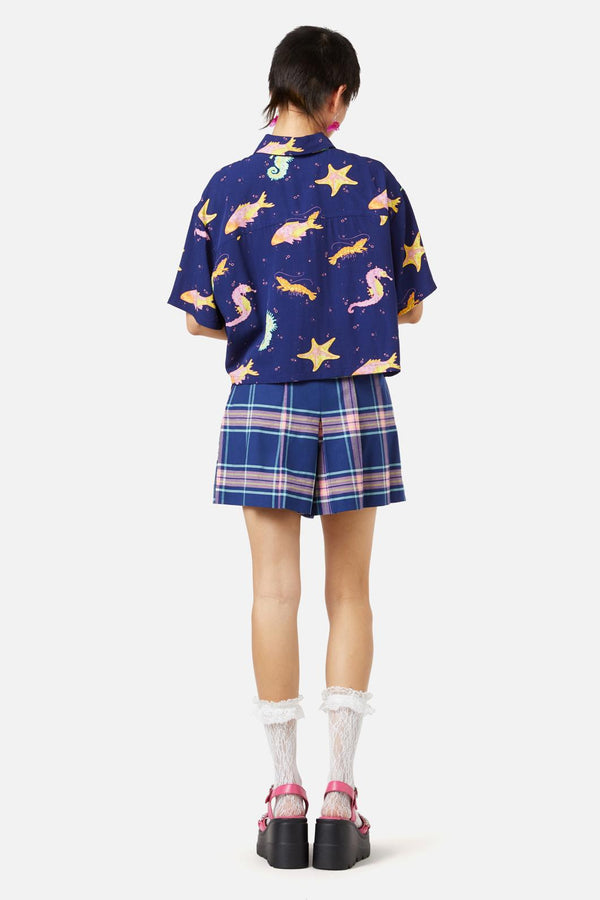 navy