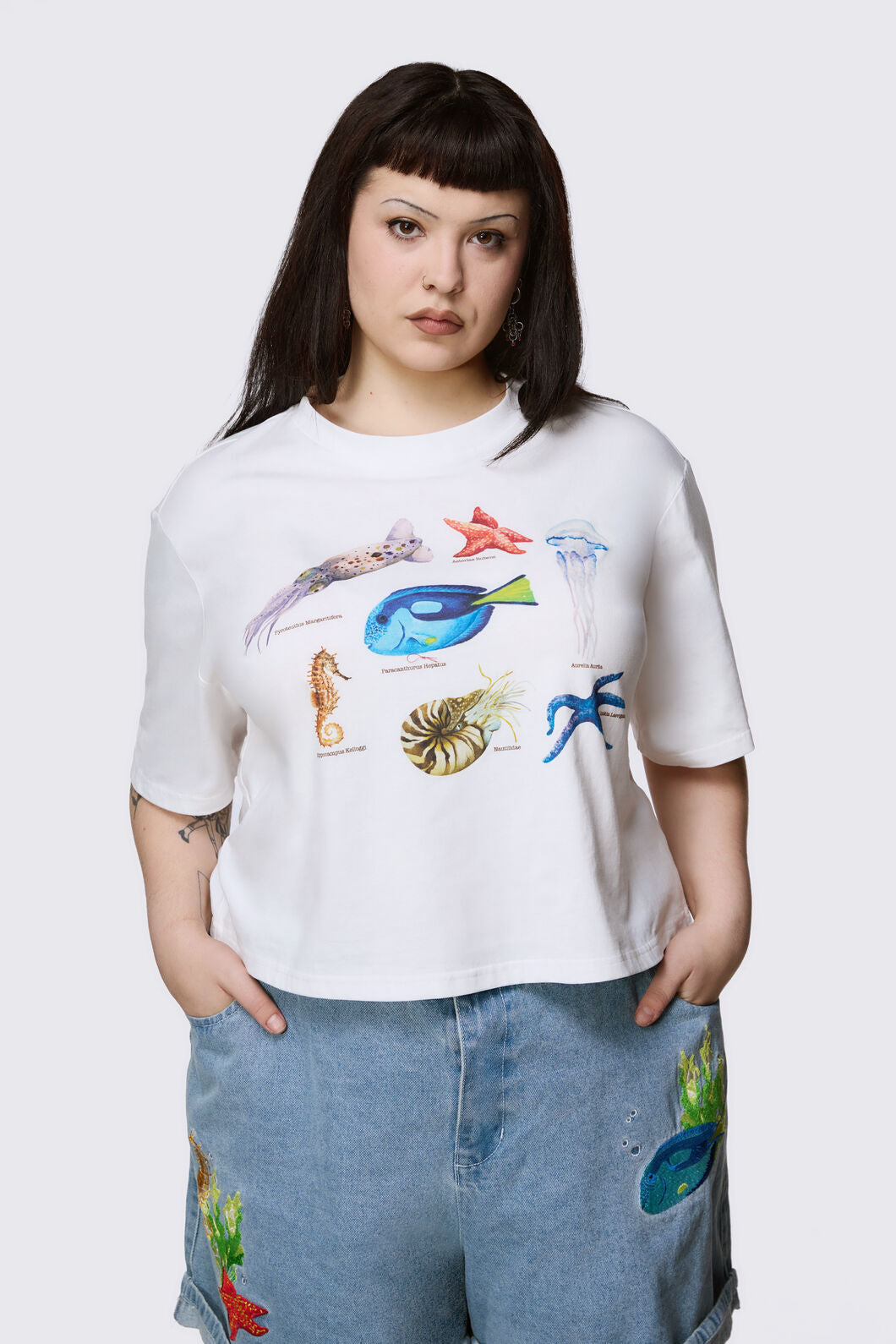 Dangerfield NZ - Curve Oceanic Tee - cream