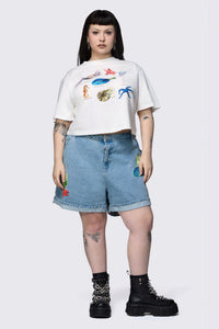 Dangerfield NZ - Curve Oceanic Tee - cream