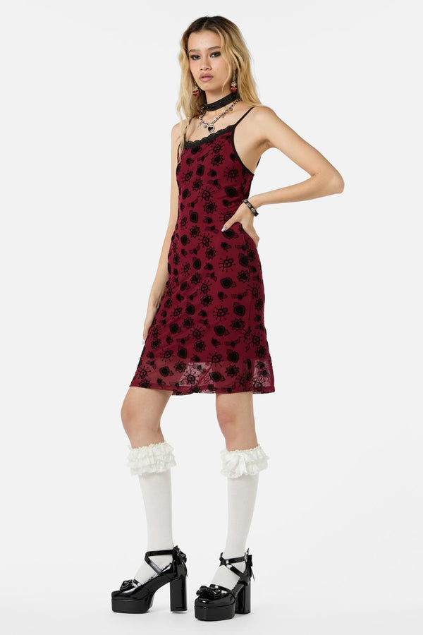 raspberry