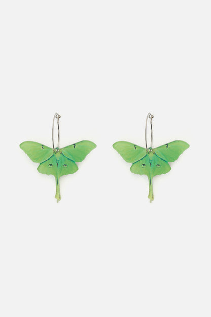 Dangerfield NZ - Moth Earrings - green