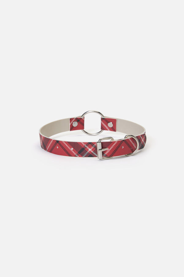 Dangerfield NZ - Piracy Tartan PU Choker - red