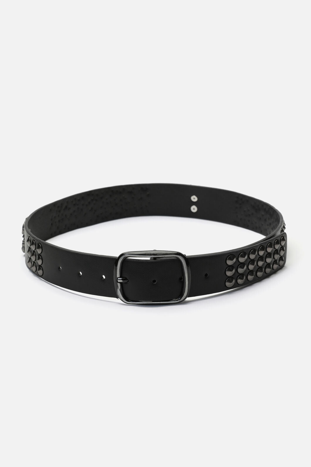 Dangerfield NZ - Scorpion Stud Belt - black