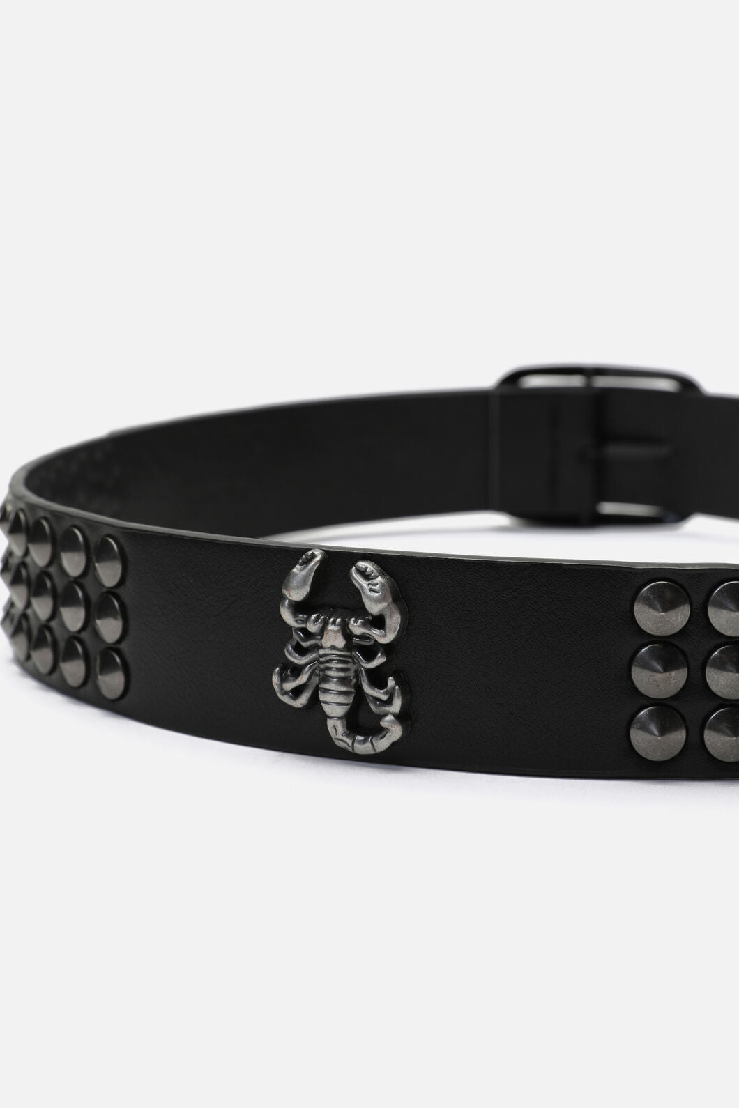 Dangerfield NZ - Scorpion Stud Belt - black