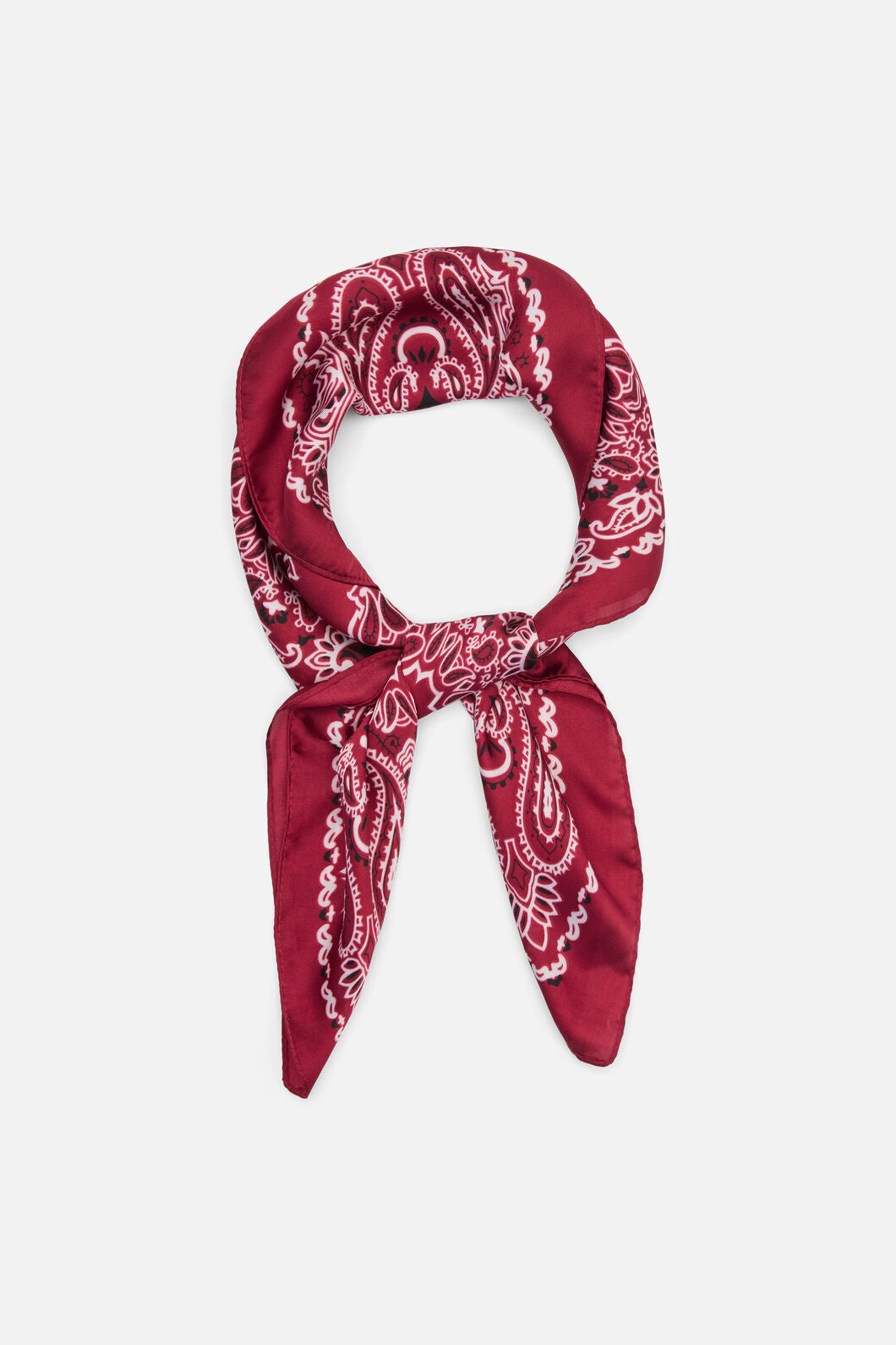 Dangerfield NZ - Satin Bandana Scarf - red