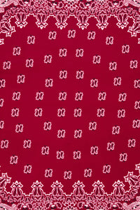 Dangerfield NZ - Satin Bandana Scarf - red