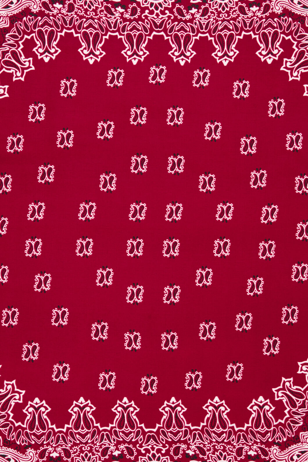 Dangerfield NZ - Satin Bandana Scarf - red