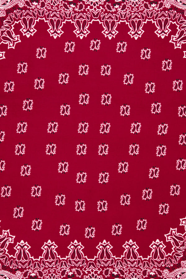 Dangerfield NZ - Satin Bandana Scarf - red