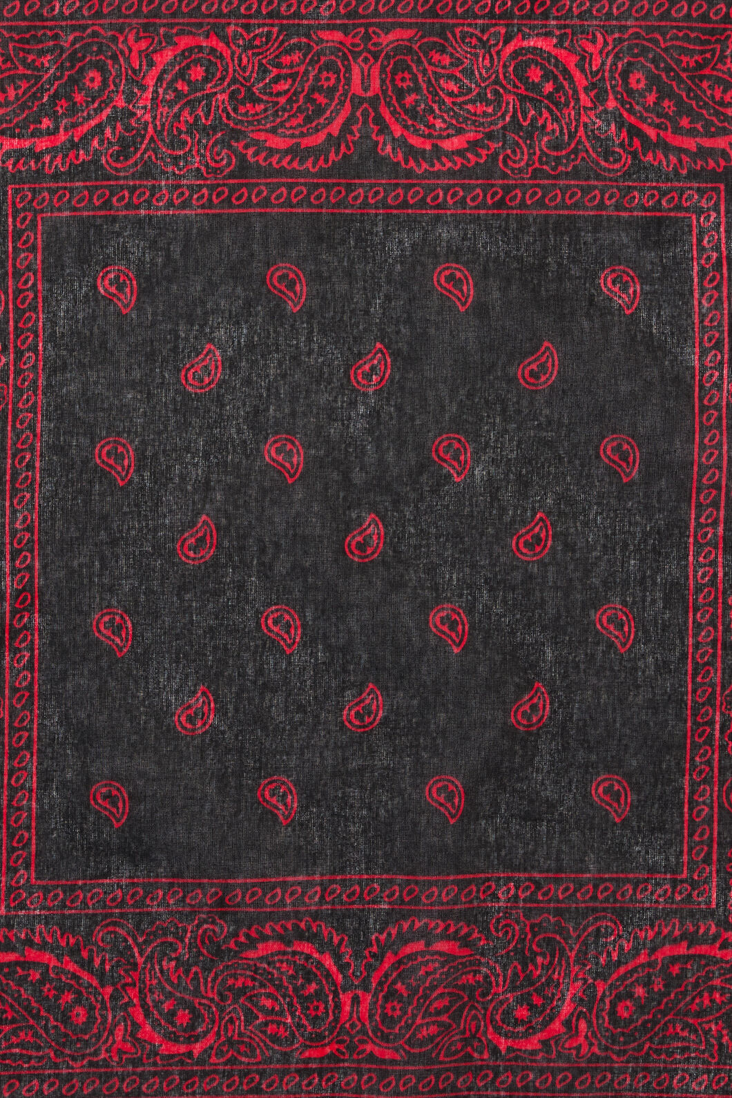 Dangerfield NZ - Border Cotton Bandana - black-red