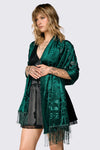 Dangerfield NZ - Green Velvet Burnout Scarf - green
